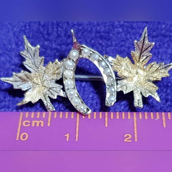 Victorian 14kg Brooch - Picture 6 of 9